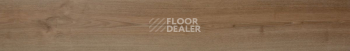 Evofloor Optima Click 4.2мм Дуб Миндаль фото 2 | FLOORDEALER