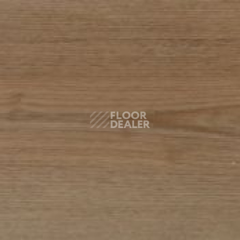 Evofloor Optima Click 4.2мм Дуб Миндаль фото 2 | FLOORDEALER