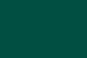 Линолеум Tarkett Omnisports R35 TH_FOREST_GREEN фото  | FLOORDEALER