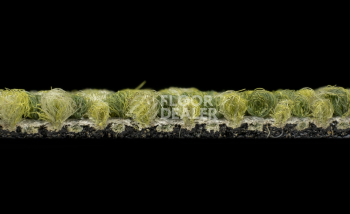Desso Desert 7184 фото 4 | FLOORDEALER