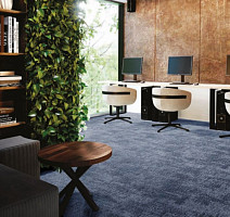 ITC Oberon