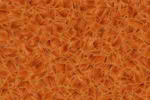 Линолеум Grabo Terrana Top Extra 4199-252 фото  | FLOORDEALER