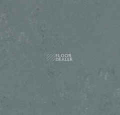 Линолеум Forbo Marmoleum Decibel on Order 375635 Neptune фото 1 | FLOORDEALER