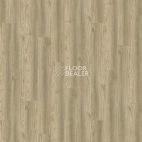 Kronotex Robusto 12мм d4611 Дуб Порт Медиум фото 4 | FLOORDEALER