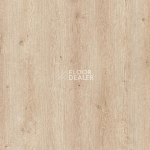 Ламинат My Step Arto 10мм Дуб Дамиан D50117 фото 1 | FLOORDEALER