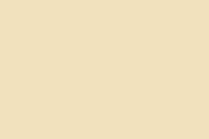 Ковролин Agnella Natural Self Beige фото  | FLOORDEALER