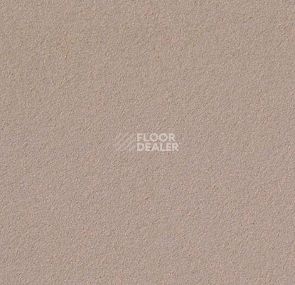 Линолеум Forbo Marmoleum Bulletin Board 2187 brown rice фото 1 | FLOORDEALER
