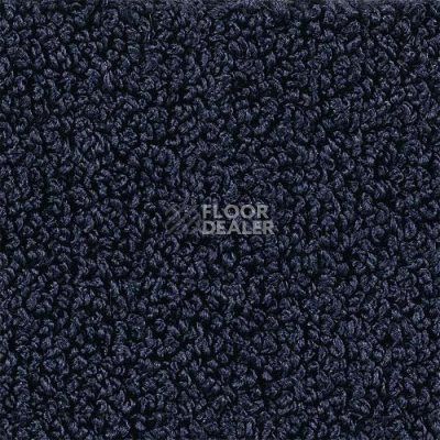 Ковролин Desso Alumina 8801 фото 1 | FLOORDEALER
