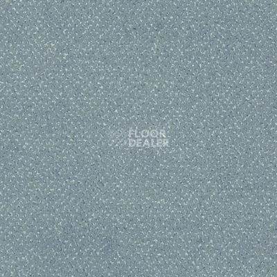 Ковролин Sintelon Orion 33439 фото 1 | FLOORDEALER