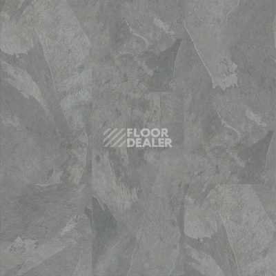 Кварцвиниловые полы Moduleo Roots 0.55 EIR камень MUSTANG SLATE 70939CD фото 1 | FLOORDEALER