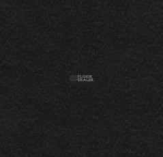 Forbo Marmoleum Solid Walton 3323 black фото 1 | FLOORDEALER