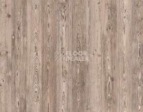 Ламинат My Step Arto 10мм Сосна Корнелис D50147 фото 1 | FLOORDEALER