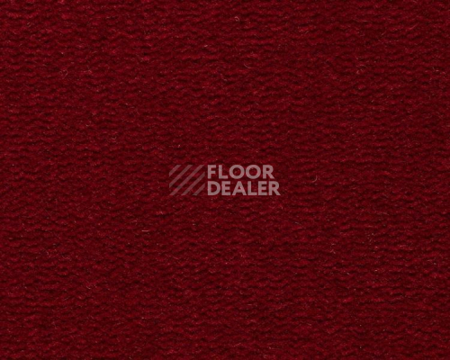 Ковролин Best Wool Pure Tasman 180 фото 1 | FLOORDEALER
