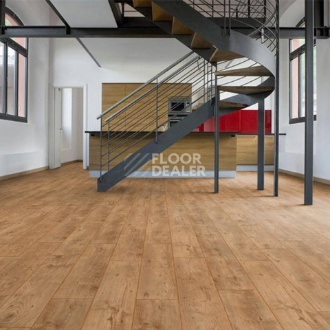 My Floor Chalet 10мм m1008 Каштан натуральный фото 2 | FLOORDEALER
