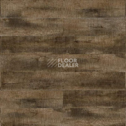 Evofloor Life Click 4.2мм Дуб Капри фото 3 | FLOORDEALER
