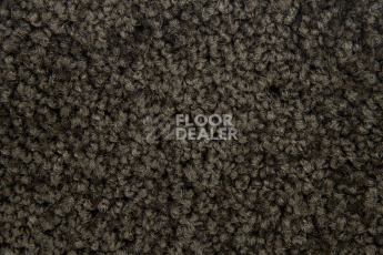Haima Noble 67 фото 3 | FLOORDEALER