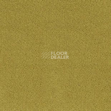 Ковролин Desso Asteranne 6122 фото 1 | FLOORDEALER