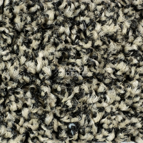 Forbo Coral Bright 2604 Virgin Sand фото 2 | FLOORDEALER