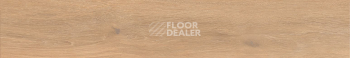 Керамогранит Cocoon 20 X 120 Glee фото 1 | FLOORDEALER