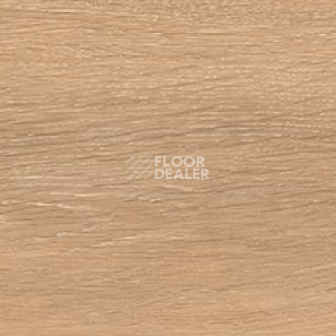 Керамогранит Cocoon 20 X 120 Glee фото 1 | FLOORDEALER