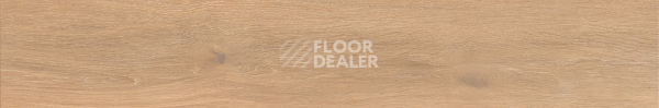 Керамогранит Cocoon 20 X 120 Glee фото 1 | FLOORDEALER