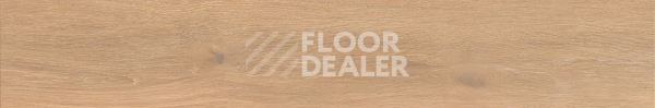 Керамогранит Cocoon 20 X 120 Glee фото 1 | FLOORDEALER