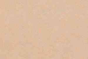 Линолеум Forbo Marmoleum Неожиданная природа 3563 фото  | FLOORDEALER
