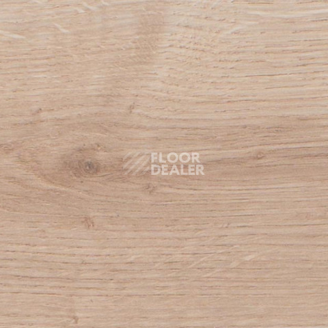 Rooms Suite 191 / 8мм Дуб Луксор платиновый RV821A фото 2 | FLOORDEALER