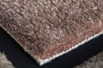 AW Masquerade Fedone / Федонэ 44 фото 3 | FLOORDEALER