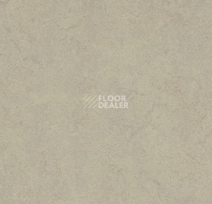 Кварцвиниловые полы Forbo Marmoleum Modular Colour 3887 фото 1 | FLOORDEALER
