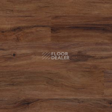 Линолеум Polyflor Camaro Wood 2236 фото 1 | FLOORDEALER