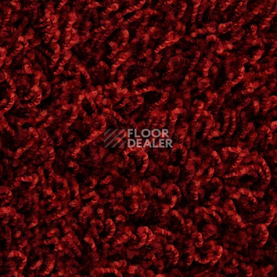 Ковролин Edel Vivaldi 125 фото 1 | FLOORDEALER
