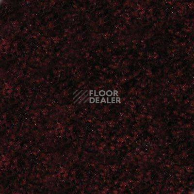 Ковролин Hidden Treasure Beaulie of America Rich Burgundy 33 фото 1 | FLOORDEALER
