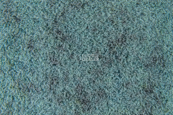 Forbo Flotex Colour Calgary 50*50 t 590004 Calgary Menthol фото 2 | FLOORDEALER