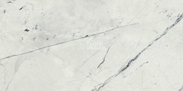 Керамогранит Black & Light Calacatta Dune 60*120 LIGHT Calacatta Satin 60x120 фото 1 | FLOORDEALER