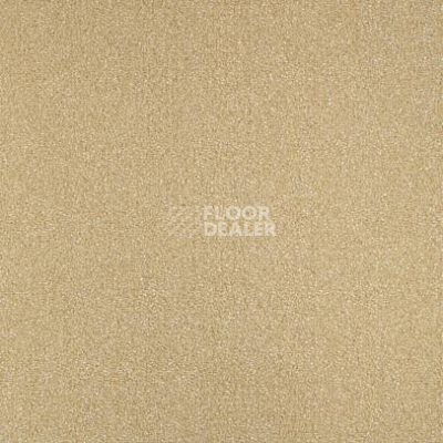 Ковролин Balsan Equinoxe 640 фото 1 | FLOORDEALER