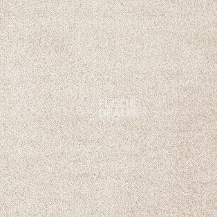 Ковролин AW The Velvet Ourania 39 фото 1 | FLOORDEALER