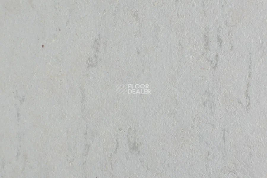 Forbo Marmoleum Solid Piano 3629-362935 frosty grey фото 2 | FLOORDEALER