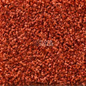 Ковролин Dura Comfort 411 фото 1 | FLOORDEALER