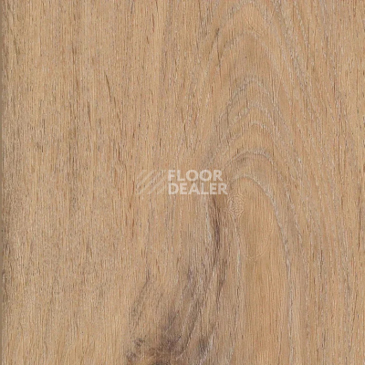 Кварцвиниловые полы AW Invictus Maximus Plank 2.5 мм Silk Oak Oat фото 1 | FLOORDEALER