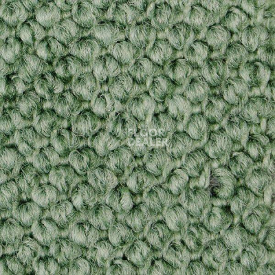 Ковролин Carpet Concept Eco Cut 30004 фото 1 | FLOORDEALER