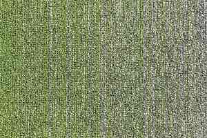 Ковровая плитка Escom Object Art 638 4273 фото  | FLOORDEALER