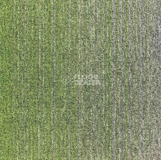Ковровая плитка Escom Object Art 638 4273 фото 1 | FLOORDEALER