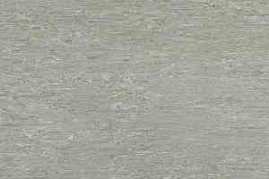 Линолеум Tarkett Alfa Standard Alfa 101 фото  | FLOORDEALER