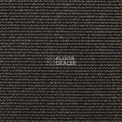 Ковролин Carpet Concept Eco Iqu 54444 фото 1 | FLOORDEALER