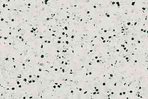 Линолеум Gerflor Mipolam BioControl El5 2001 Light Fog фото  | FLOORDEALER