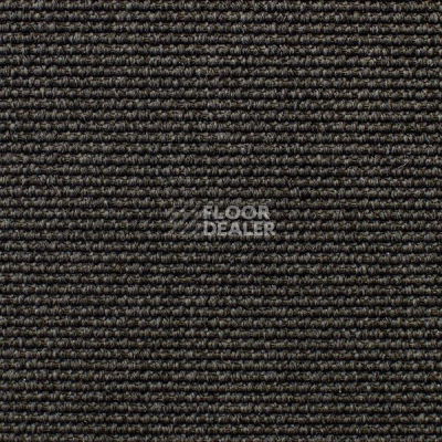 Ковролин Carpet Concept Eco Iqu 54444 фото 1 | FLOORDEALER