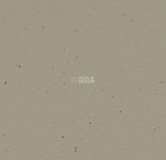 Forbo Marmoleum Solid Cocoa 3596 hummus фото 1 | FLOORDEALER