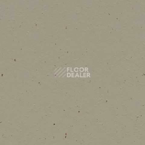 Линолеум Forbo Marmoleum Solid Cocoa 3596 hummus фото 1 | FLOORDEALER