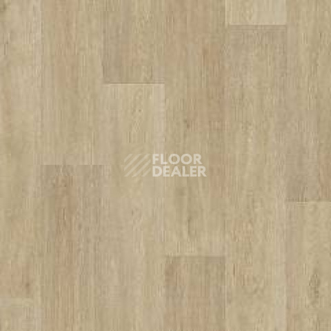 Линолеум Tarkett Status LEON2 фото 1 | FLOORDEALER